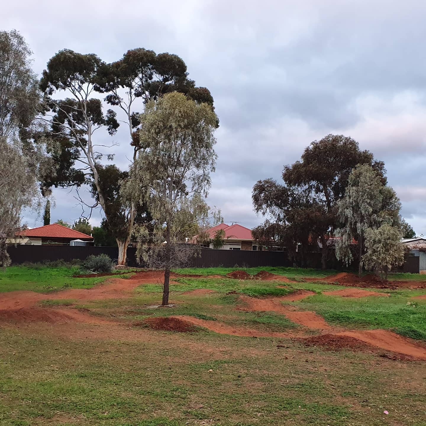 Red dirt pump track humps winding across green grass beside tall gum trees at Applecross Reserve